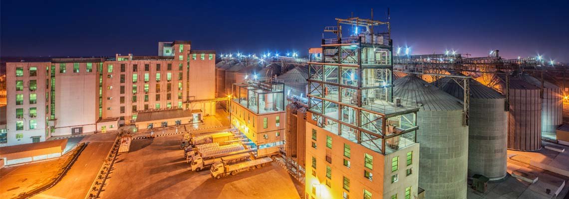 Company profile